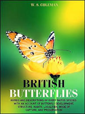 British Butterflies Figures and Descriptions of Every Native Species